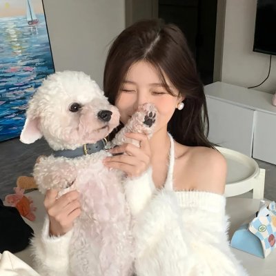 圣物秘闻录